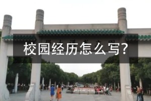 校园经历范文8篇,校园经历案例大全